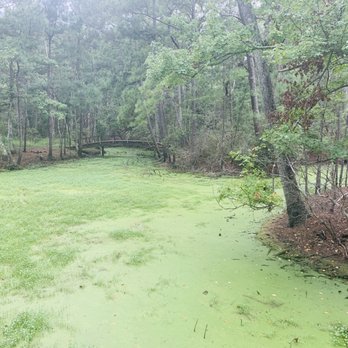 Nags Head Woods Ecological Preserve - Parks Near Me - Kill Devil Hills, North Carolina