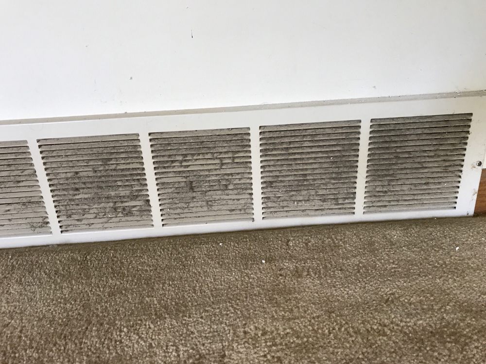 Dry Ty - mold inspector in Marseilles, IL