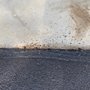 Photo of Coats of Armor