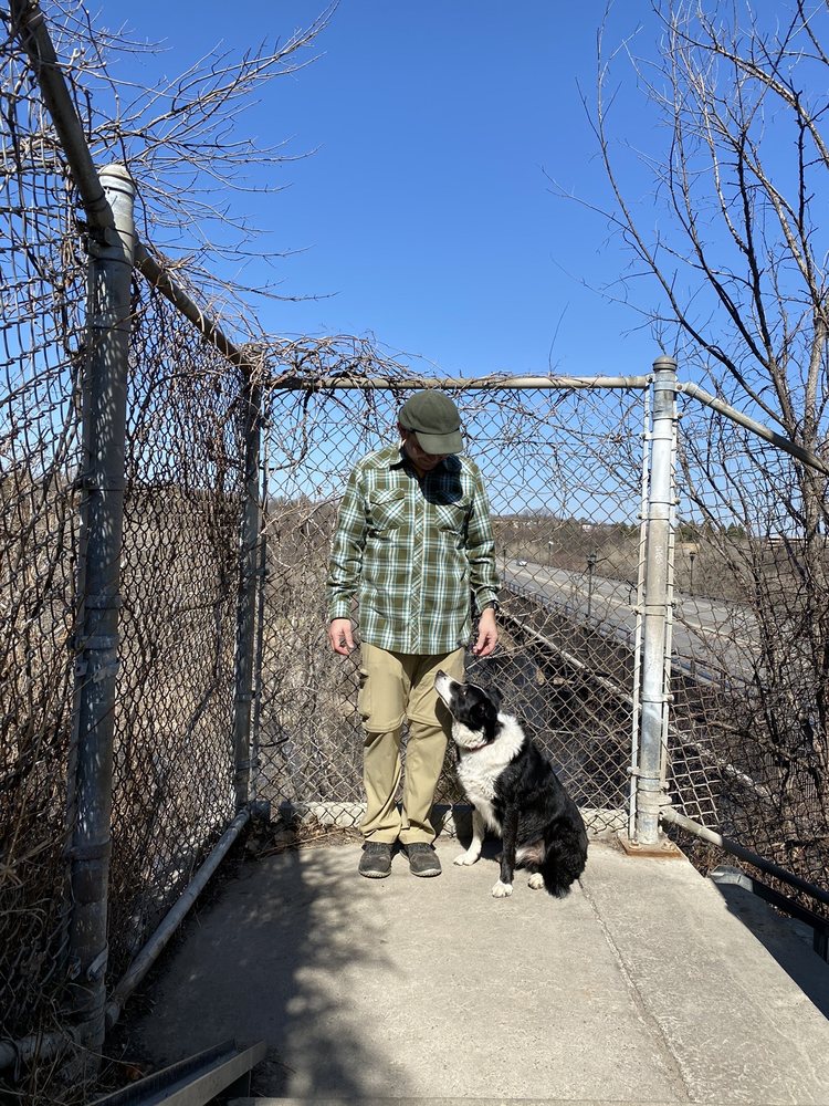 MENARDS Updated September 2024 19 Photos & 40 Reviews 7701