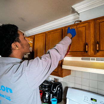 Wharton Exterminating Services - Pest Control Near Me - Saint Albans, New York Wharton Exterminating Services - Pest Control Near Me - Saint Albans, New York