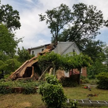 Maryland Tree - The trunk was sliced down to reduce the weight. - Tree Services Near Me - Adelphi, Maryland