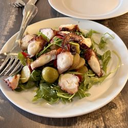 Feeling Kinda Kozy - Feb. 2026 - Grilled Octopus appetizer, comes with a warm salad