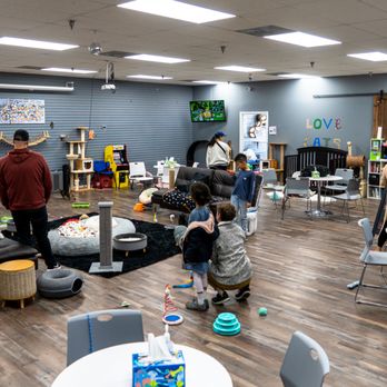 The Catio Cat Lounge - Pet Adoption Near Me - Nashville, Tennessee