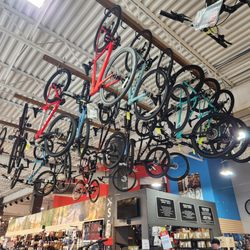 Bushtukah - Lots and lots of bikes