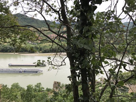 Dürnstein Castle by null