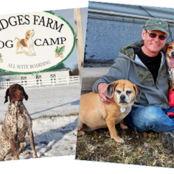 Ledges Farm Dog Camp