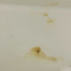 Stayable St. Augustine - Bottom of tub. Looks like something burned in it.