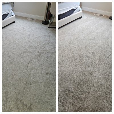 Pet and Family Friendly Carpet Cleaning! - Low-Moisture Technology — Cleaner Carpets, Healthier Homes
At Wash Co. Carpet Cleaning, we believe clean carpets go beyond appearances—they’re about creating a healthier, more comfortable home or business. That’s why we use the Wash Co. Method, a low-moisture extraction system trusted by leading carpet manufacturers and proven effective in homes and businesses worldwide for over 15 years.
We go the extra mile when it comes to stain removal. Using powerful yet family- and pet-safe solutions, our team isn’t afraid to get down on the floor and scrub by hand when needed to remove stubborn spots. Our eco-friendly process is tough on stains but gentle on your carpet—and safe for the people and pets you care about.
Our advanced equipment works a low-moisture solution deep into carpet fibers, lifting out embedded dirt, allergens, and stains—without soaking, steam, or sticky residue. The result? Carpets that are clean, sanitized, and dry in just a few hours.
No mildew. No over-wetting. No surprises. Just a reliable, deep clean you can feel good about. Pet and Family Friendly Carpet Cleaning! - Low-Moisture Technology — Cleaner Carpets, Healthier Homes
At Wash Co. Carpet Cleaning, we believe clean carpets go beyond appearances—they’re about creating a healthier, more comfortable home or business. That’s why we use the Wash Co. Method, a low-moisture extraction system trusted by leading carpet manufacturers and proven effective in homes and businesses worldwide for over 15 years.
We go the extra mile when it comes to stain removal. Using powerful yet family- and pet-safe solutions, our team isn’t afraid to get down on the floor and scrub by hand when needed to remove stubborn spots. Our eco-friendly process is tough on stains but gentle on your carpet—and safe for the people and pets you care about.
Our advanced equipment works a low-moisture solution deep into carpet fibers, lifting out embedded dirt, allergens, and stains—without soaking, steam, or sticky residue. The result? Carpets that are clean, sanitized, and dry in just a few hours.
No mildew. No over-wetting. No surprises. Just a reliable, deep clean you can feel good about.