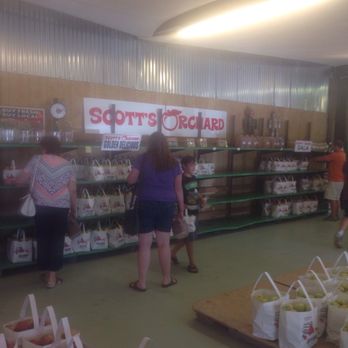 Scott's Orchard - Fruits & Veggies Near Me - Hazel Green, Alabama
