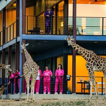 Blue Hills Ranch - Giraffe pajama party house - Hotels Near Me - McGregor, Texas Blue Hills Ranch - Giraffe pajama party house - Hotels Near Me - McGregor, Texas