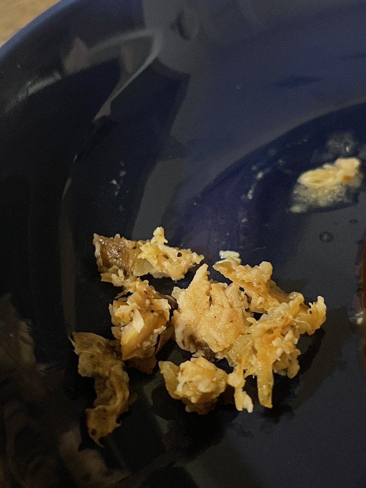 Earth Bistro Cafe Earth Bistro Cafe