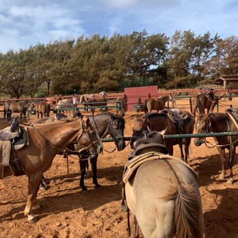 CJM Stables - Horseback Riding Near Me