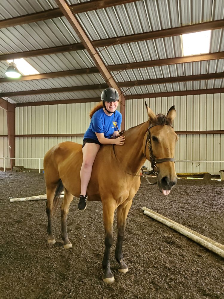 Thunderbay Riding Academy - equestrian in Waxhaw, NC