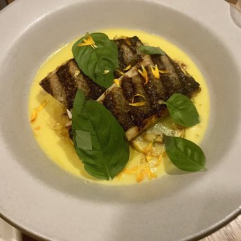 Tavernetta - Branzino - Italian Near Me - Denver, Colorado Tavernetta - Branzino - Italian Near Me - Denver, Colorado