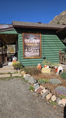 The Shaggy Sheep by null