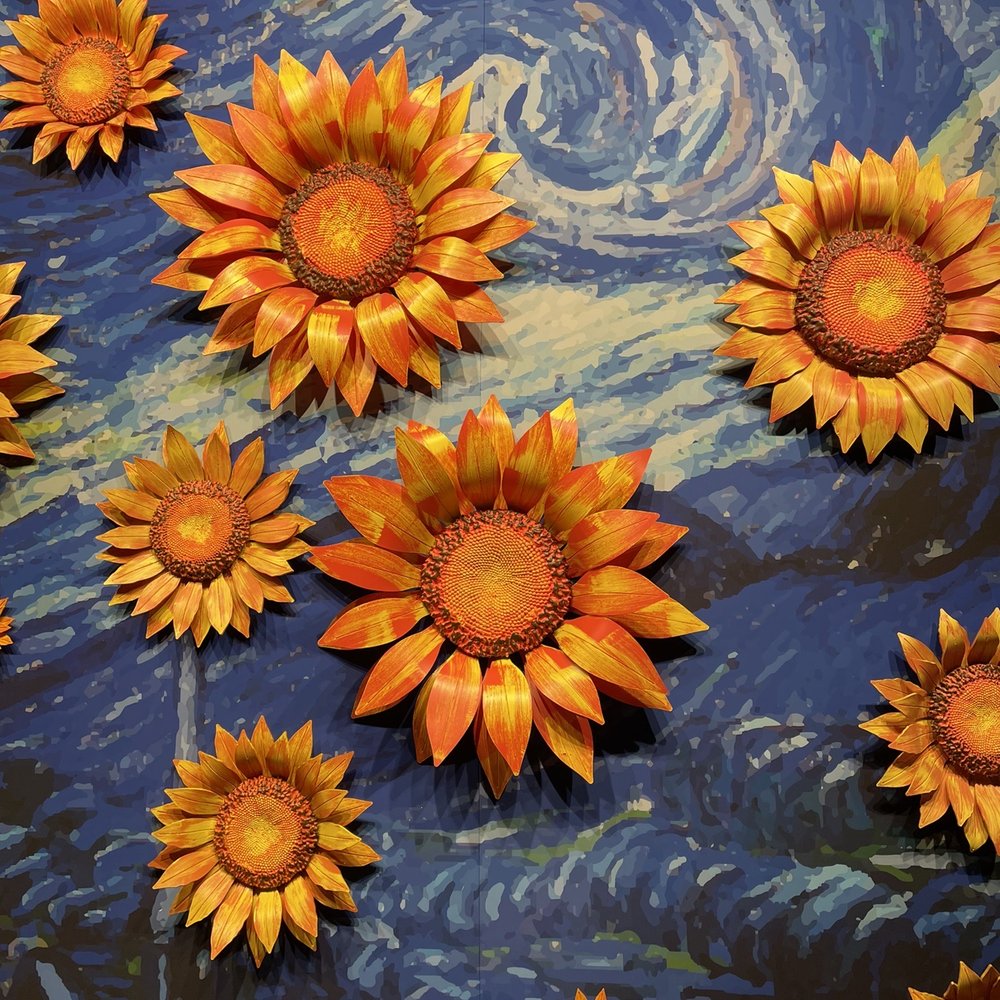 Van Gogh Exhibition - Art Galleries Near Me - Seattle, Washington Van Gogh Exhibition - Art Galleries Near Me - Seattle, Washington