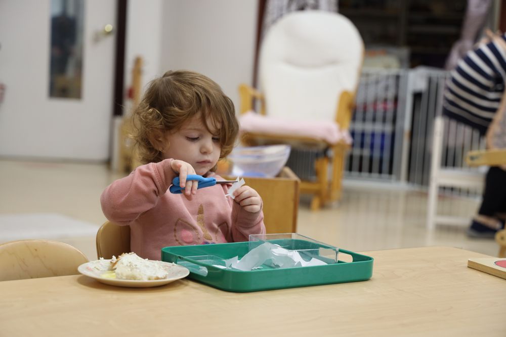 Fox Valley Montessori School - childcare center in Aurora, IL