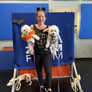 Zoom Room Dog Training - Zoom Halloween Party 2022 with students Obi-Wan and Leia Burke Wilkinson - Pet Training Near Me - Belmont, California Zoom Room Dog Training - Zoom Halloween Party 2022 with students Obi-Wan and Leia Burke Wilkinson - Pet Training Near Me - Belmont, California