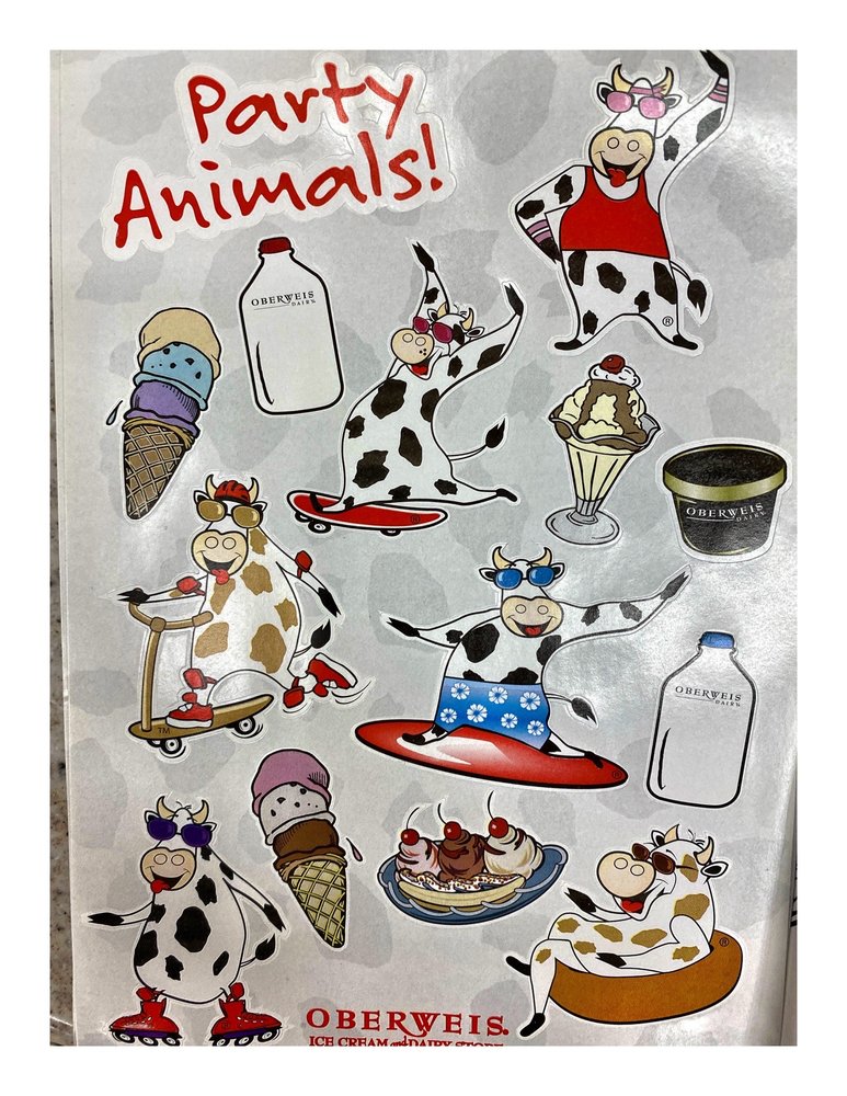 OBERWEIS ICE CREAM AND DAIRY STORE Updated August 2024 62 Photos