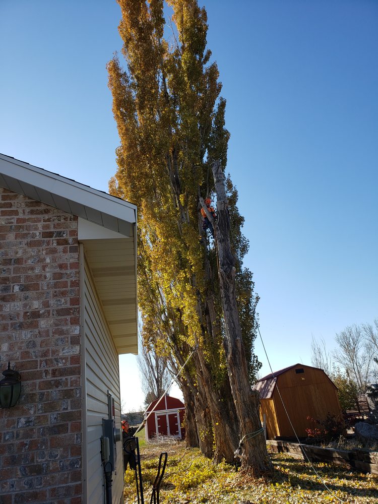 Tree Takers - tree service in Kaysville, UT