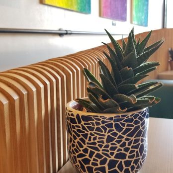 RASA - Cute plant - Indian Near Me - Washington, DC, District of Columbia RASA - Cute plant - Indian Near Me - Washington, DC, District of Columbia