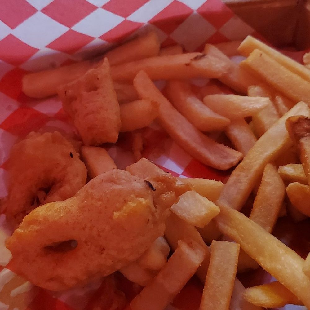 El Squid Roe - Worst fried calamari on the planet - Dance Clubs Near Me - Cabo San Lucas, BCS El Squid Roe - Worst fried calamari on the planet - Dance Clubs Near Me - Cabo San Lucas, BCS