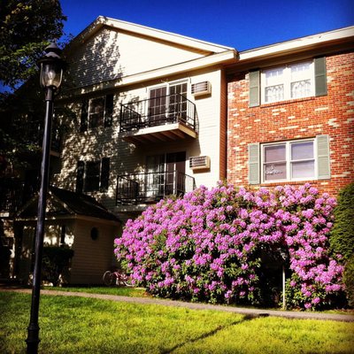 Oak Hill Condominiums