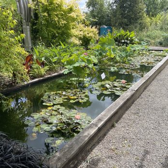 Hughes Water Gardens - Nurseries & Gardening Near Me - Tualatin, Oregon