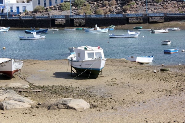 Charco de San Ginés by null