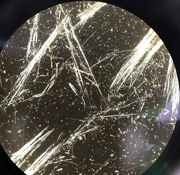 Hawaii Analytical Laboratory - mold inspector in Honolulu, HI