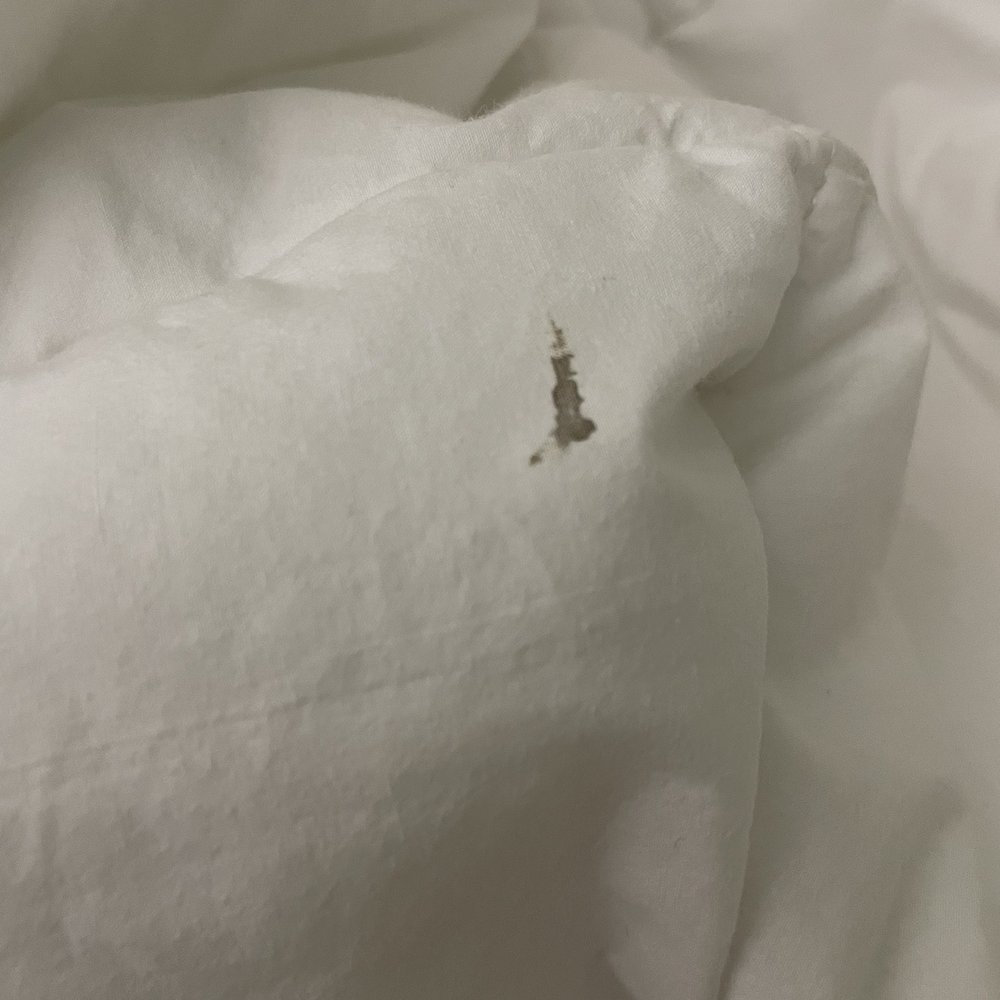 stain on bedding stain on bedding