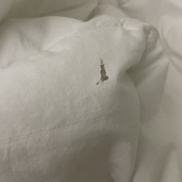 stain on bedding stain on bedding