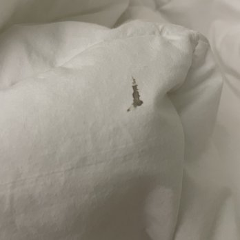 Quality Inn Trussville I-59 Exit 141 - stain on bedding - Hotels Near Me - Trussville, Alabama Quality Inn Trussville I-59 Exit 141 - stain on bedding - Hotels Near Me - Trussville, Alabama