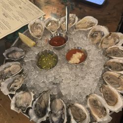 Oysters