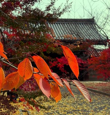 To-ji Temple by null