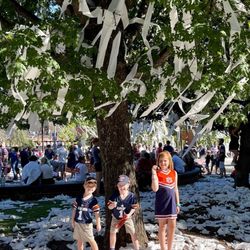 Jordan-Hare Stadium - Toomer's corner tree rolling