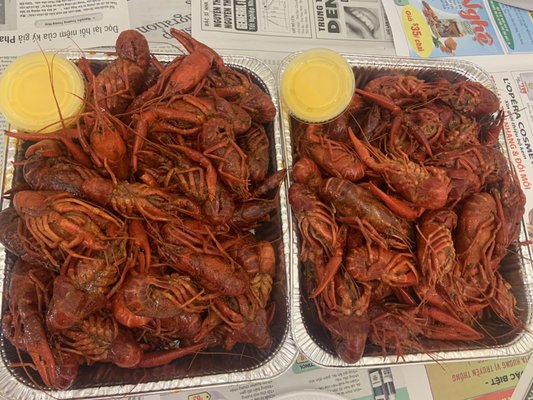 Quality Fresh Seafood by null