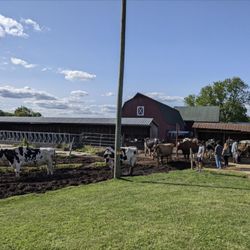 Flayvors of Cook Farm - Flayvors of Cook Farm 5/2023