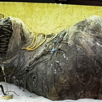 Freakybuttrue Peculiarium - A mummy of Anubis - Museums Near Me - Portland, Oregon