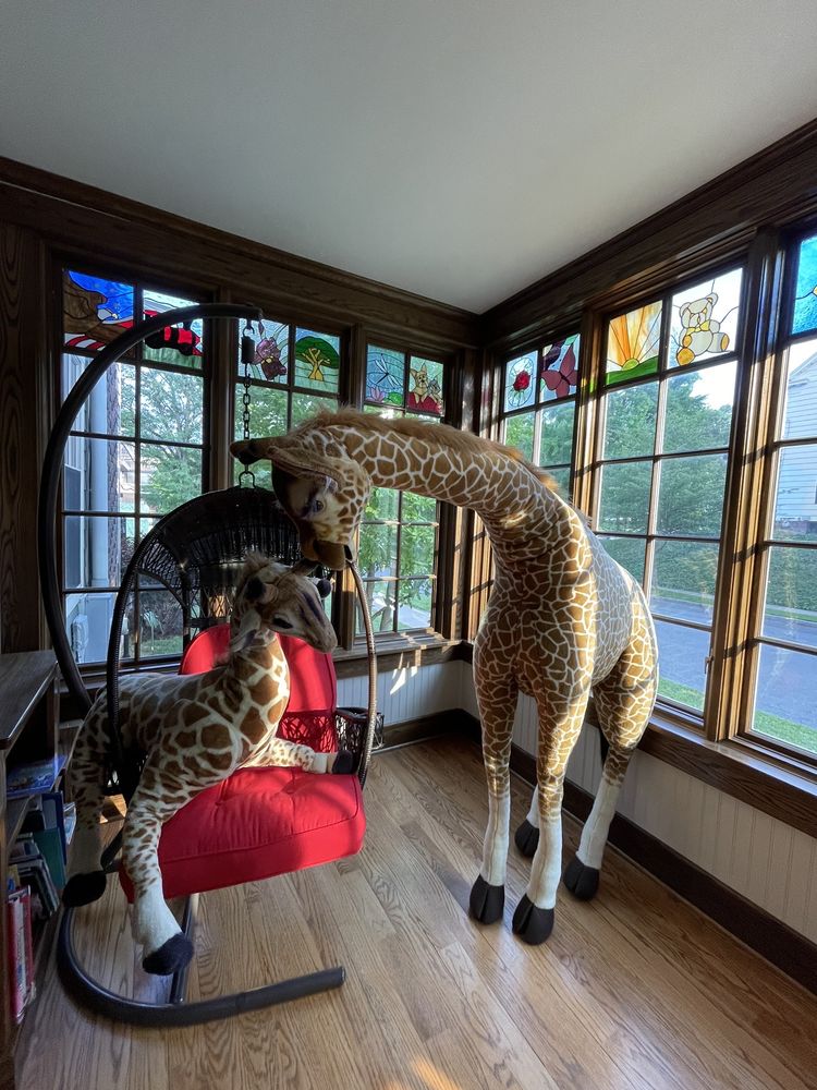 Ronald McDonald House Charities - social services organization in Albany, NY