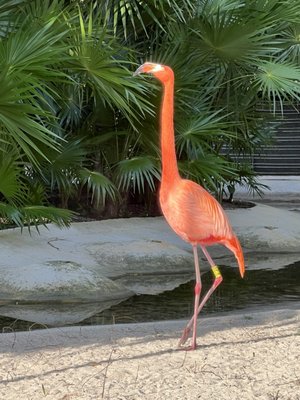 Mayan Palace by null