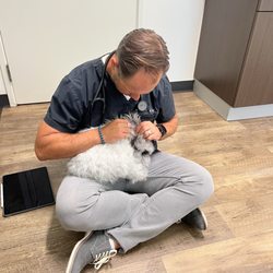 Ohana Animal Hospital - Dr. Steffes examining my sweetheart English Angora 'Walter'