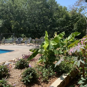 Low Maintenance Landscape - Large plants for privacy - Landscaping Near Me - Lawrence, Kansas