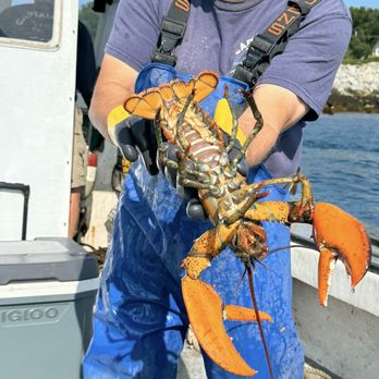 Rockport Seaventure - John shows us a lobster. Teachers make the best guides! - Boat Tours Near Me Rockport Seaventure - John shows us a lobster. Teachers make the best guides! - Boat Tours Near Me