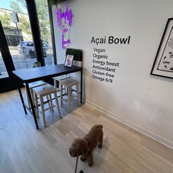Deep Purpl - Dog friendly!