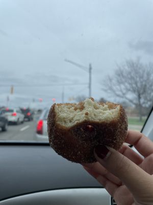 Spicer Orchards Farm Market, Cider Mill, Fudge, Bakery by null
