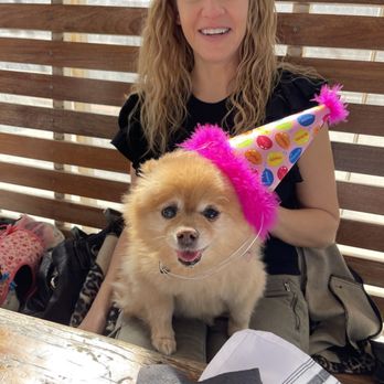 Bar Peached - Rainey celebrated her barkday at Bar Peached this year - with guests - Cocktail Bars Near Me - Austin, Texas Bar Peached - Rainey celebrated her barkday at Bar Peached this year - with guests - Cocktail Bars Near Me - Austin, Texas