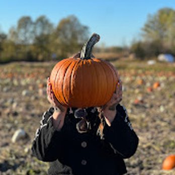 E&T Pumpkin Junction - Pumpkin Patches Near Me - De Pere, Wisconsin E&T Pumpkin Junction - Pumpkin Patches Near Me - De Pere, Wisconsin