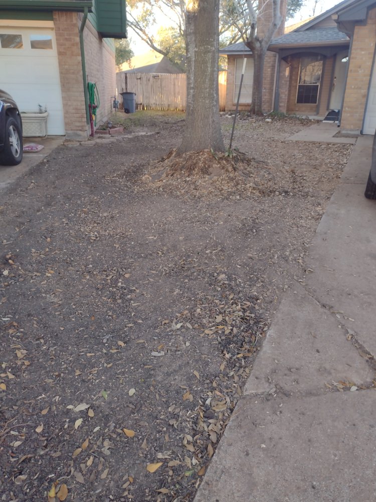 Roger Services - tree service in Houston, TX